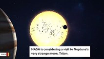 NASA Wants To Visit Neptune's Bizarre Moon That Orbits In Opposite Direction Of Planet