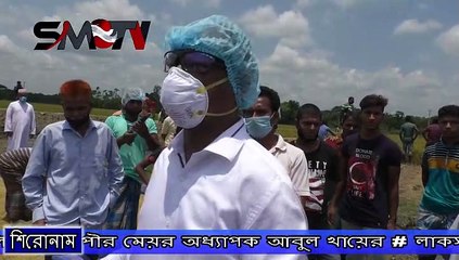 লাকসামে সমবায় ভিত্ততে জমির আইল উঠিয়ে চাষাবাদ, লাভবান হচ্ছেন কৃষক