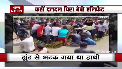 Chhattisgarh to West Bengal, people thronged to save elephants