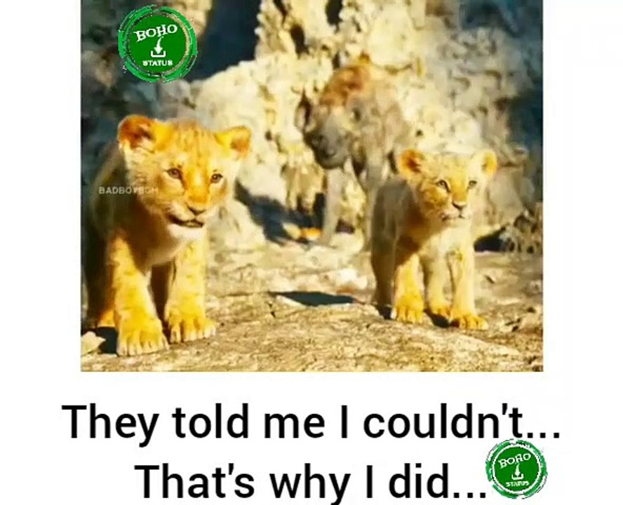 They told me i couldn't that's why i did whatsapp status | Motivational WhatsApp Status |New Motivational status