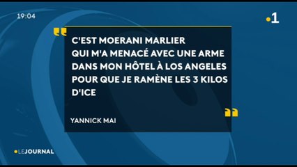 Trafic d’ice : le guide touristique devant ses juges