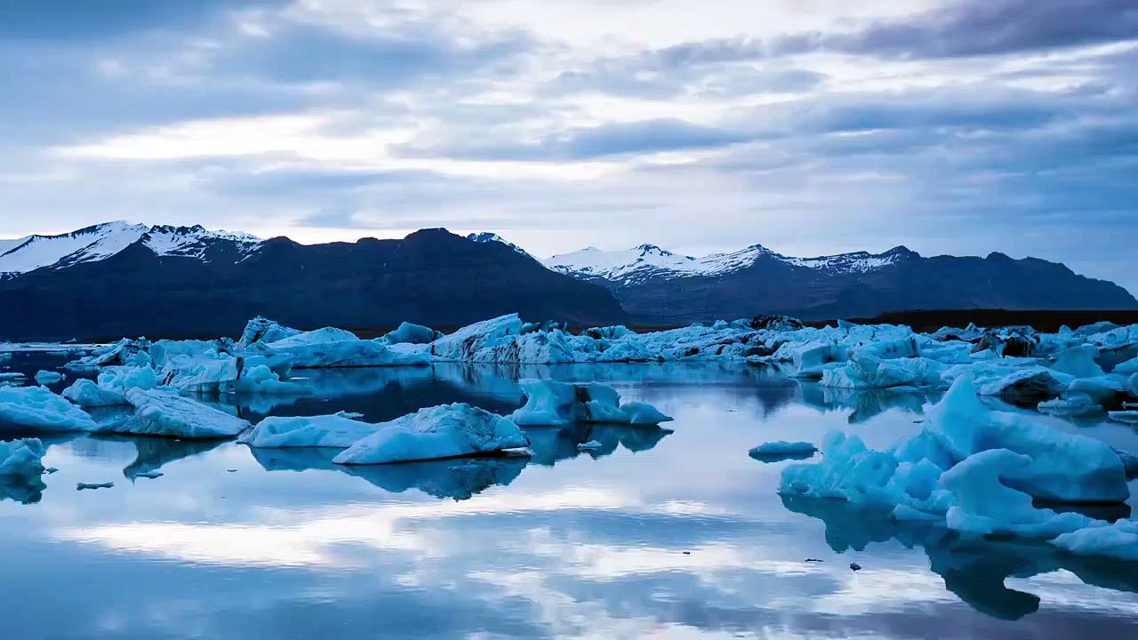 Iceland's Independence Day _ June 17th _ Fun Facts _ Seed Processing, Packaging _ Jam Jam Group