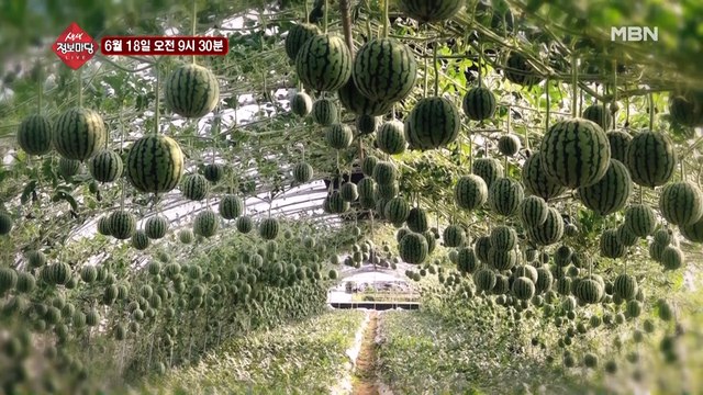 생생 정보마당 [656회] - 여유 있는 목요일