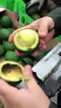 Colombian Avocados: The Kinder Surprise Egg