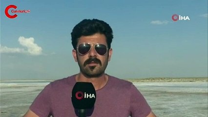 Tuz Gölü’nde flamingoların esrarengiz ölümü