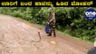 ಆಹಾರ ಅರಸಿ ಊರಿಗೆ ಬಂದ ನಾಗರಹಾವು | Naja Cobra snake rescue by snake lover Mohan | Oneindia Knanada