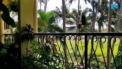 Monsoon may arrive early in Delhi & Northern India