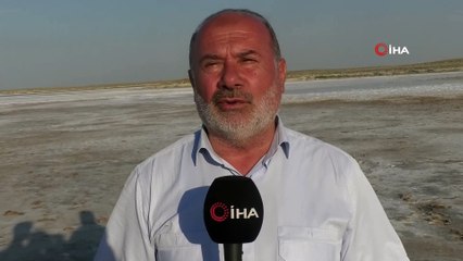 Tuz Gölü’nde flamingoların esrarengiz ölümü dikkat çekiyor