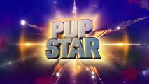 Pup Star Official Trailer 1 (2016) - Air Bud Entertainment Movie