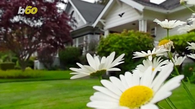 Summer of DIY! Here Are Some At-Home Projects You Can Do All by Yourself!