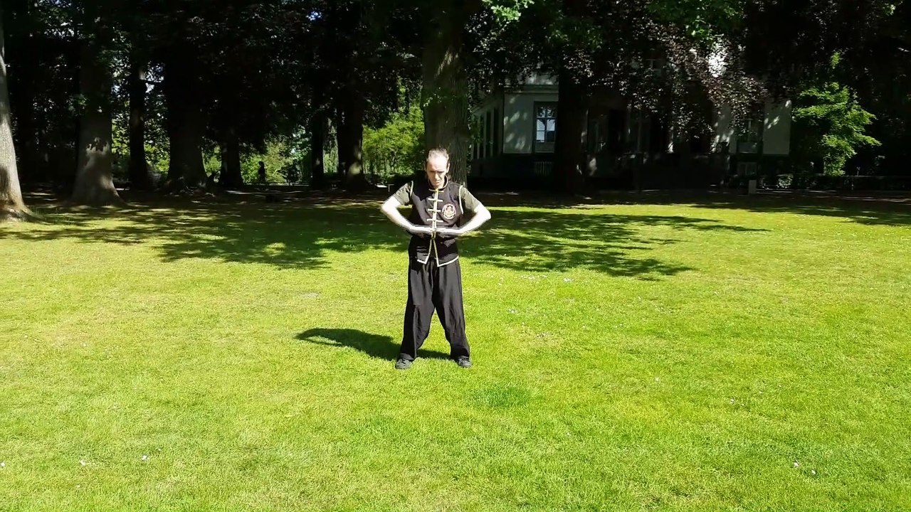 Praying Mantis - Shifu Patrick van Steen - Ng Ying Kungfu Apeldoorn Martial Arts Vechtsport