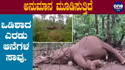 ಕೇರಳ ನಂತರ ಒಡಿಶಾದಲ್ಲಿ ಎರಡು ಆನೆಗಳ ಸಾವು | Orissa | Oneindia Kannada