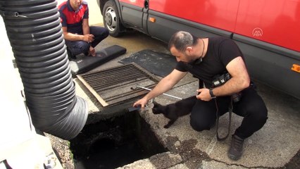 Yavrusunu kurtarmak için itfaiye ile birlikte çaba sarfetti - DÜZCE