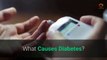 What Causes Diabetes[what is the main cause of diabetes] Diabetes and the body  Diabetes
