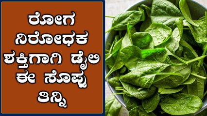 ಪ್ರತಿನಿತ್ಯ ಈ ಸೊಪ್ಪನ್ನು ಸೇವಿಸಿ ರೋಗ ನಿರೋಧಕ ಶಕ್ತಿ ಪಡೆಯಿರಿ | Benefits of Spinach