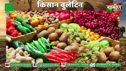 Mother Dairy ने Zomato से मिलाया हाथ, अब Delhi-NCR में होगी फल-सब्जी की Home Delivery : Kisan Bulletin : Grameen News