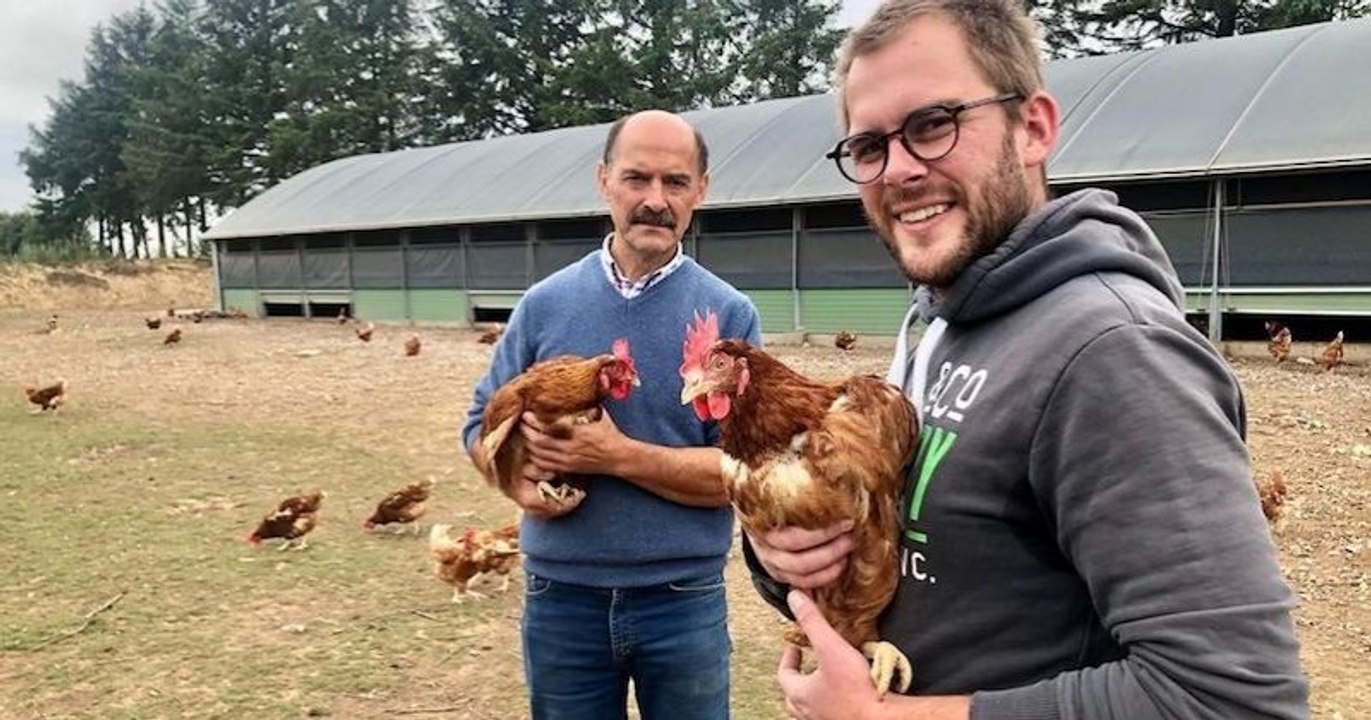 En Normandie, un jeune éleveur sauve ses 2800 poules pondeuses de l'abattoir