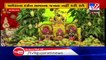 Corona crisis : Lord Jagannath's Mameru will not be laid for devotees this year , Ahmedabad