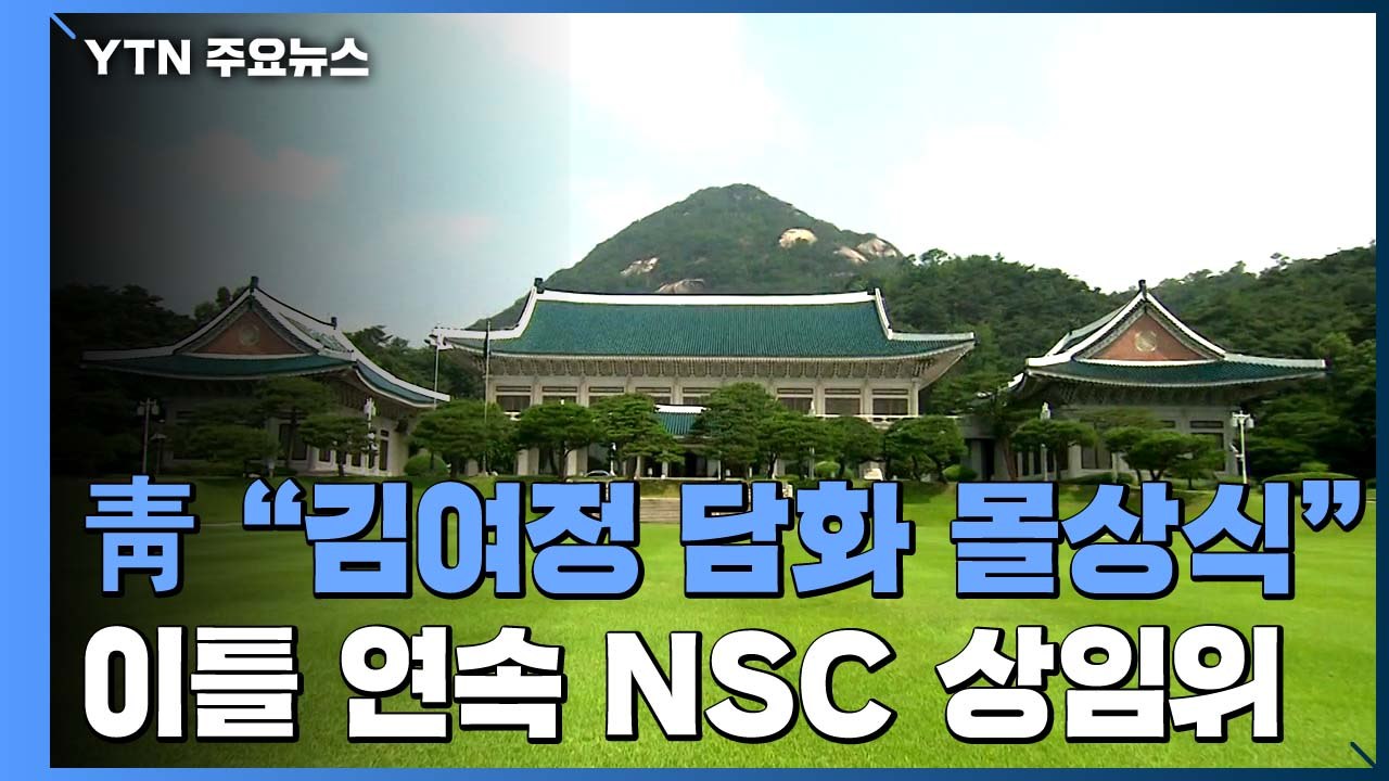 靑 "김여정 담화는 몰상식...정상 간 신뢰 근본적 훼손" / YTN