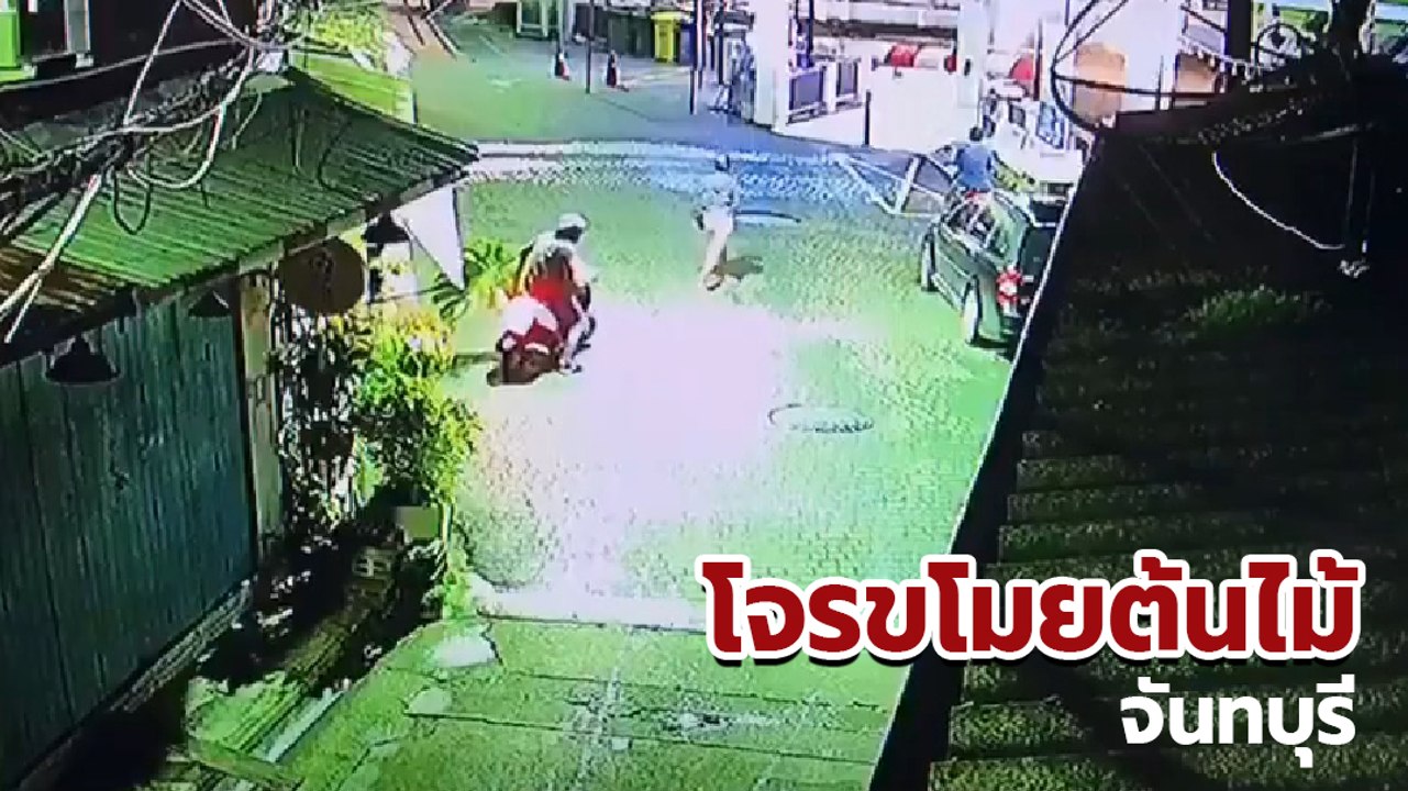 วงจรปิดจับภาพ โจรวัยรุ่น ขี่มอเตอร์ไซค์ตระเวนขโมยต้นไม้แพง จันทบุรี
