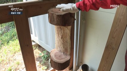 캣타워까지 손수 만든다!? 이미 뼛속부터 집사인 자연인…