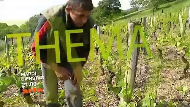 Arte : Jingle, 3 B.A, Générique antenne : 08-11-2008