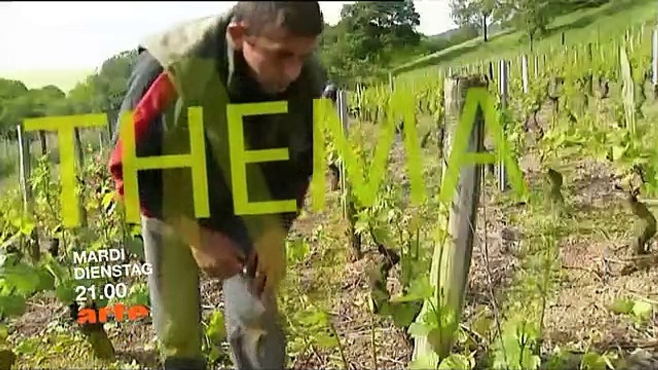 Arte : Jingle, 3 B.A, Générique antenne : 08-11-2008