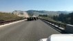 Un troupeau de bisons sur un pont