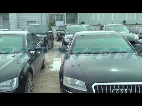 KONFISKOHEN 11 PASURI TE KRIMIT, GJYKATA I KALON PRONAT SHTETIT - News, Lajme - Kanali 7