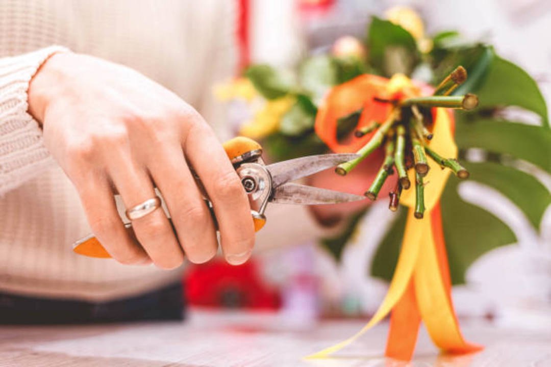How To Keep Cut Roses Alive