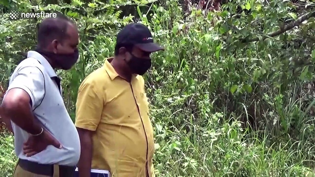 Lifeless corpse of elephant who fed on explosives found in Sri Lanka forest