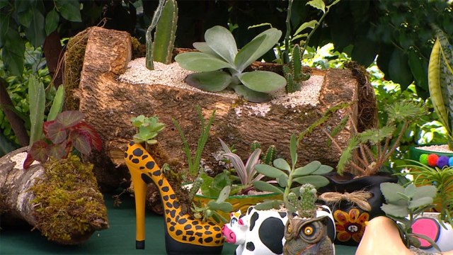 Conozca a los emprendedores que nos visitaron este miércoles