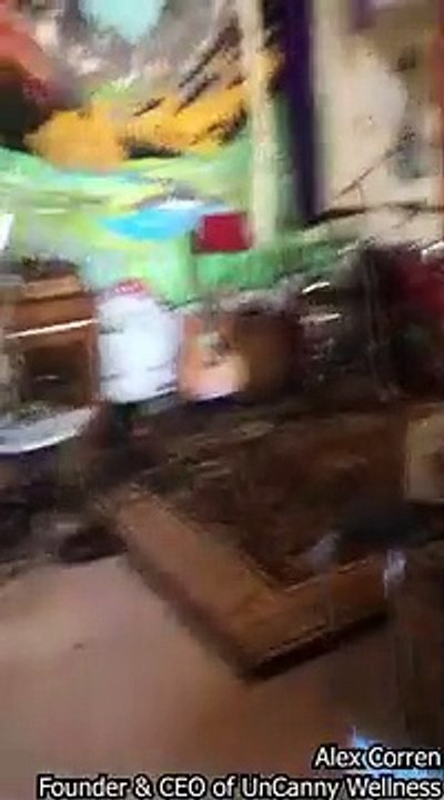 Un ourson dans une maison