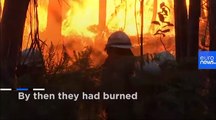 How climate change is causing 'mega-fires' and forcing people to migrate in Portugal