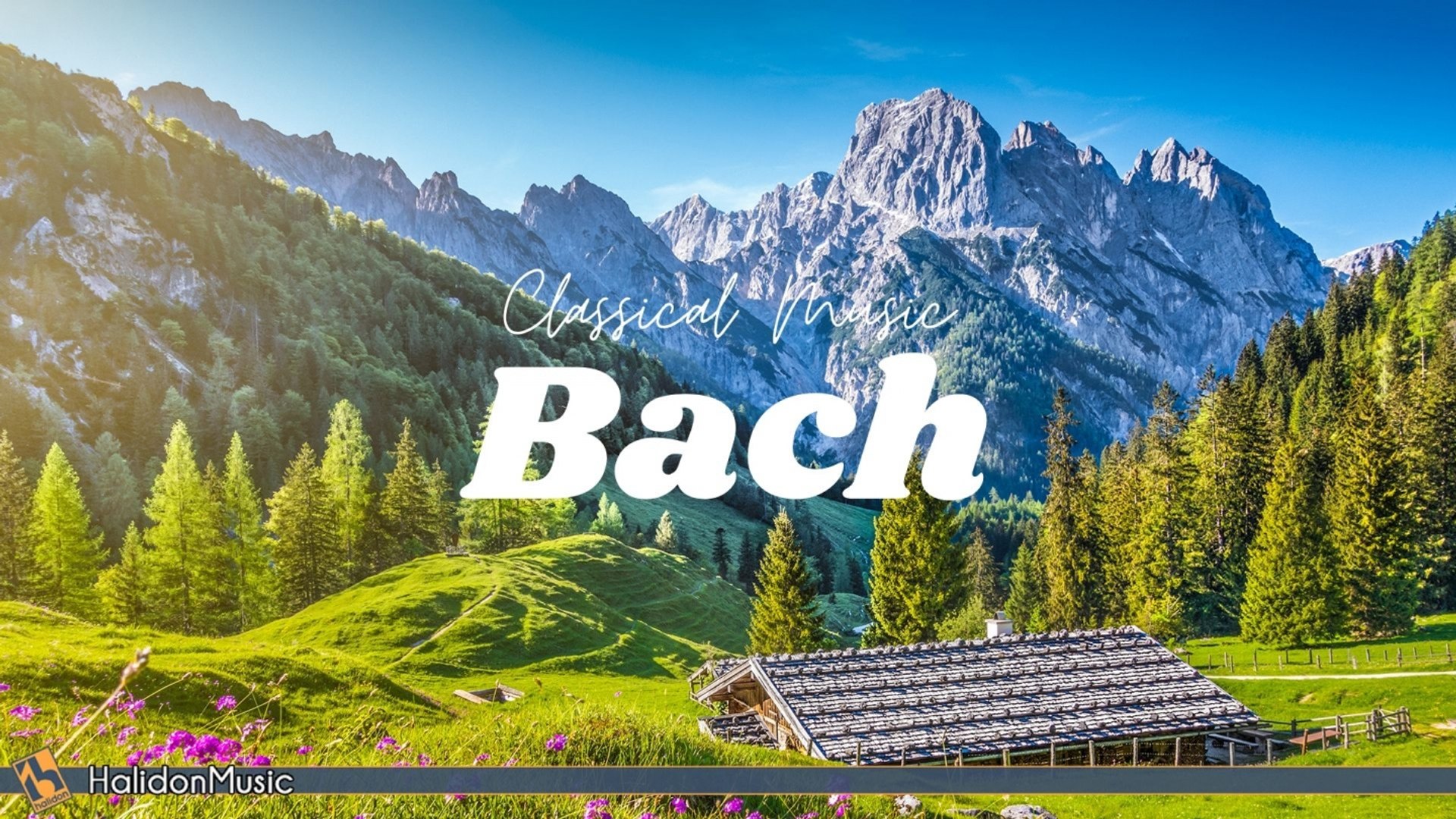 ⁣Various Artists - Bach - Relaxing Classical Music