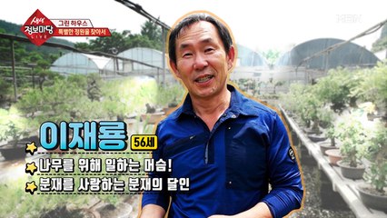 나무를 위해 일하는 분재의 달인