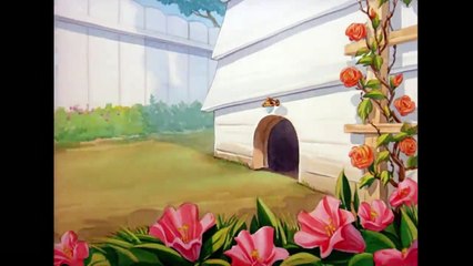 Tom & Jerry - Jerry and the Baby Woodpecker - Classic Cartoon