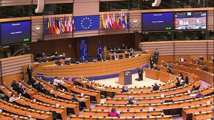 - Belçika polisinden siyahi milletvekile şiddet iddiası