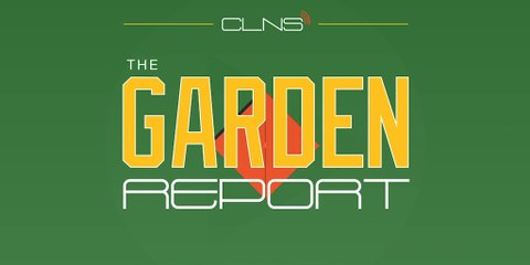 Why is Kyrie Irving Proposing Players Start New League | Garden Report