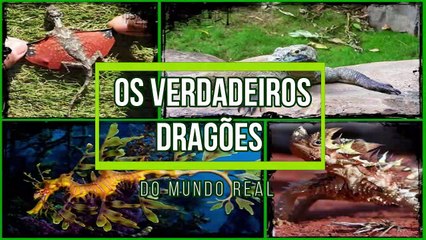  Os verdadeiros DRAGÕES do mundo real