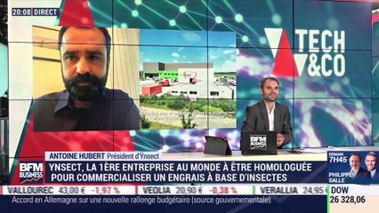 Antoine Hubert (Ÿnsect) : Ÿnsect, la première entreprise au monde à être homologuée pour commercialiser un engrais à base d’insectes - 17/06