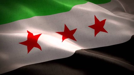 تعرف على قصة العروس التي طلبت مهرها علم الثورة السورية