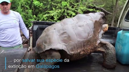 Diego de volta para casa