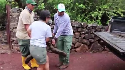 Diego de volta para casa