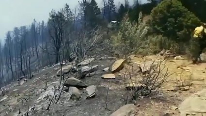 Hillside scorched from wildfire