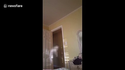 Cats and calisthenics don't mix, as evidenced by this furry friend's descent from the door frame