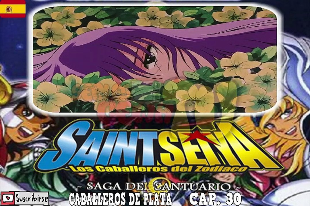 SAINT SEIYA TG 30