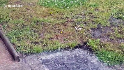 June thunderstorms flood south Wales