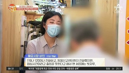 동묘시장에서 시작된 고양이 학대 논란?! 학대 VS 방어