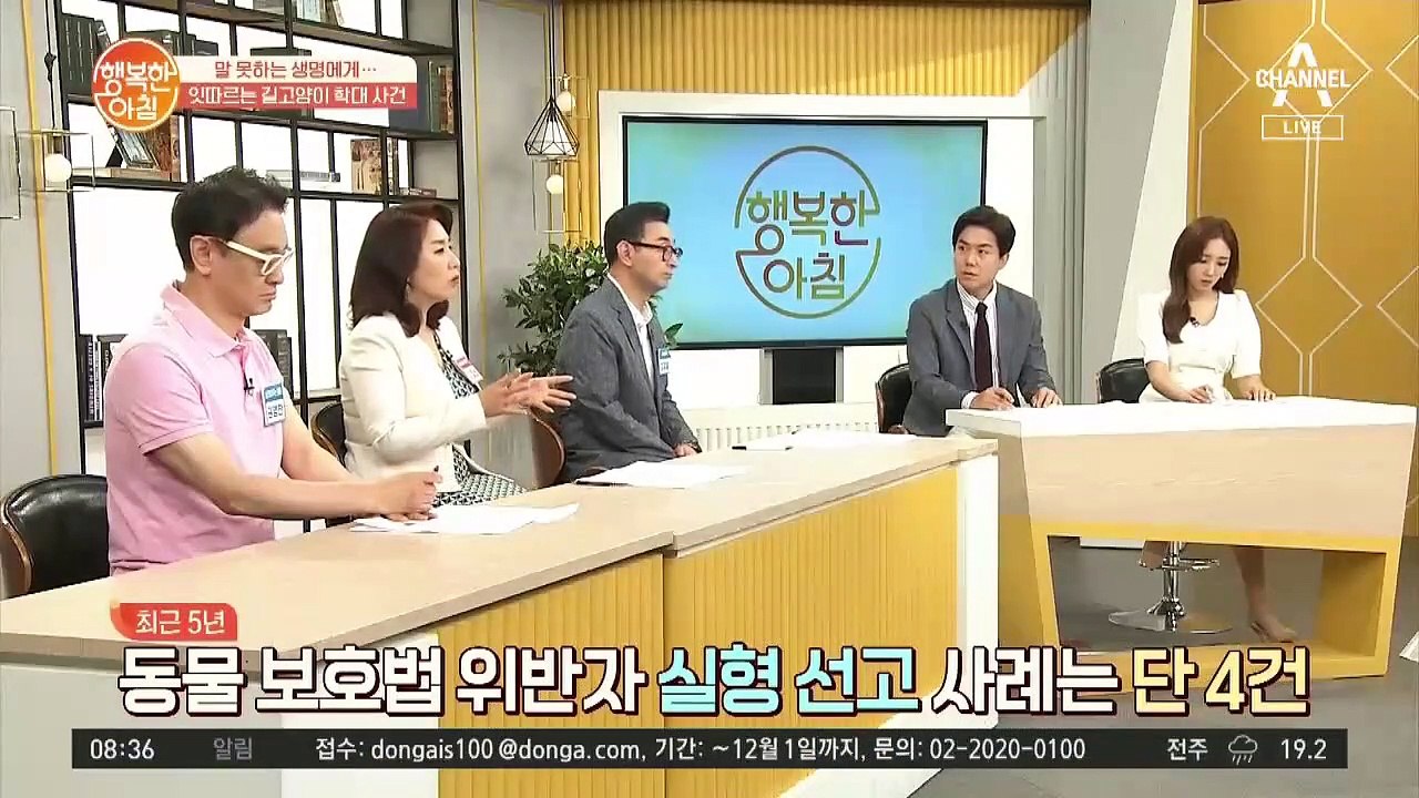 동물 학대가 증가하는 이유는? ㅜㅜ